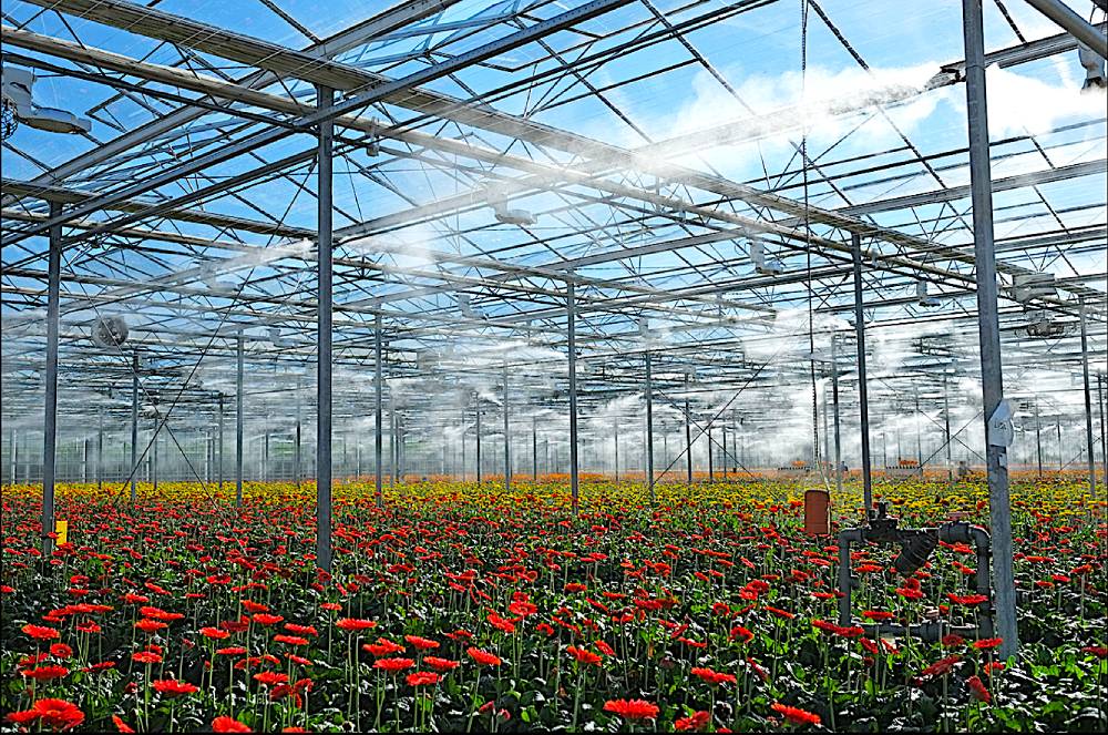 Misting Systems
